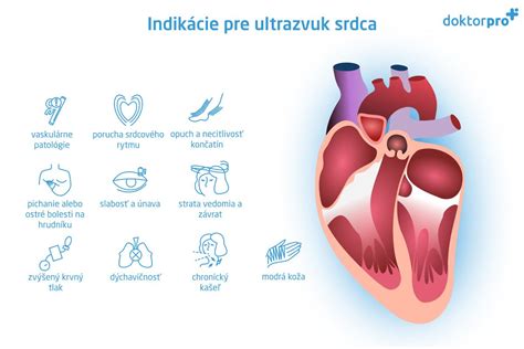 Lekár vykonávajúci echokardiografiu srdca
