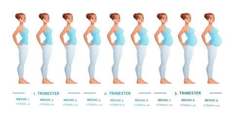 Žena v treťom trimestri tehotenstva si hladí bruško