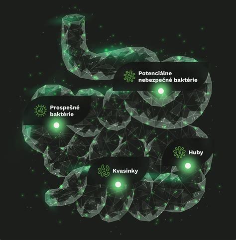 Ilustrácia tráviaceho traktu