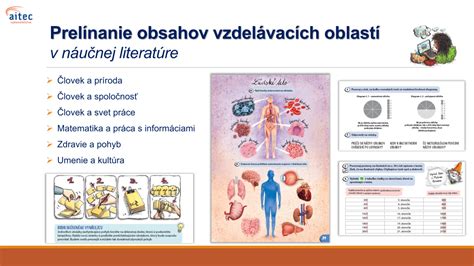 Dojča s rôznymi druhmi stolice