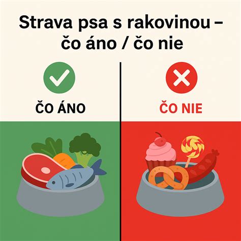 Infografika s rozdelením na 