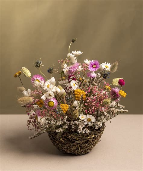 Ilustrácia sušených bylín