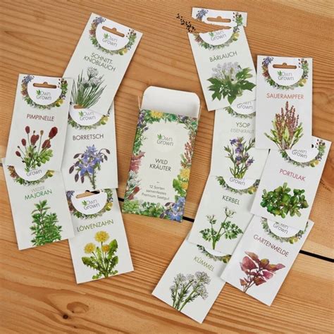 Ilustrácia rôznych druhov bylín