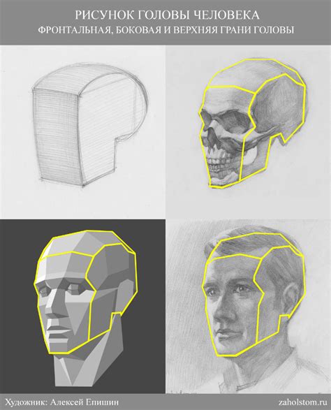 Náčrt ľudskej tváre s orientačnými líniami