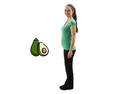 Plod v 16. týždni tehotenstva