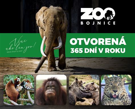 Infografika návštevnosti ZOO Bojnice v čase