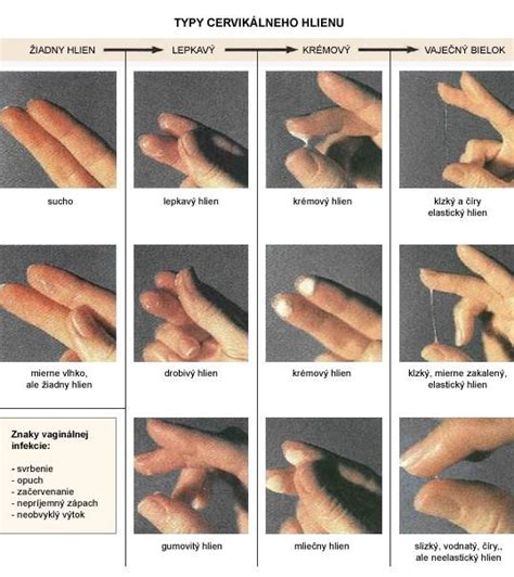 Žena sledujúca cervikálny hlien