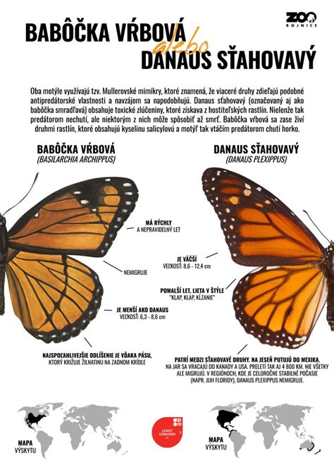 Infografika: Rozdiel medzi eustresom a distresom