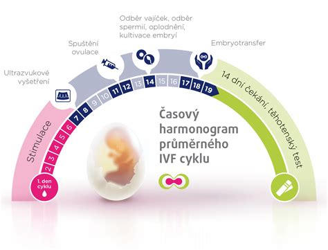 Infografika zobrazujúca počet cyklov IVF hradených poisťovňou