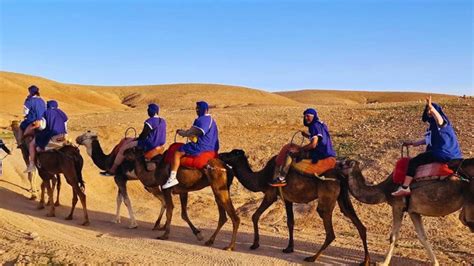 Jazda na ťavách v púšti