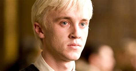 Portréty Harryho Pottera a Draca Malfoya