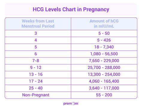 Diagram znázorňujúci priebeh tehotenstva a vývoj hCG