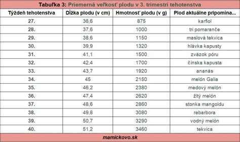Matka v treťom trimestri