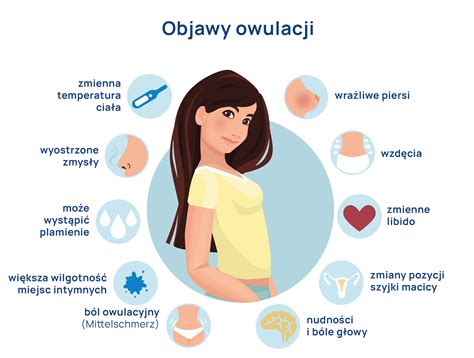 Infografika znázorňujúca pravdepodobnosť otehotnenia v závislosti od dňa cyklu