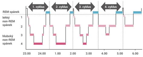 Graf znázorňujúci optimálny spánkový cyklus 5-mesačného bábätka