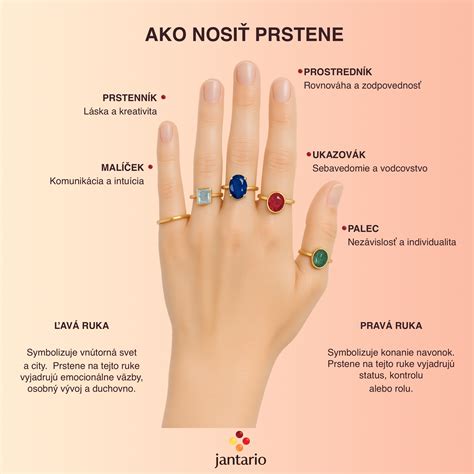 infografika priberania podľa trimestrov