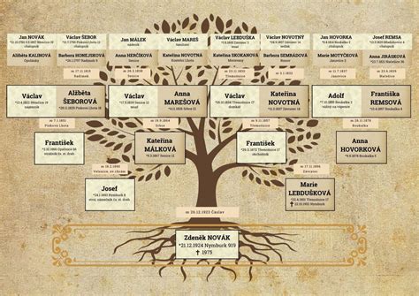 Grafické znázornenie rodostromu s vyznačenými rodičovskými rolami