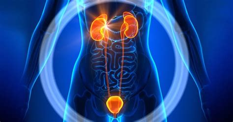 infekcia močových ciest u detí