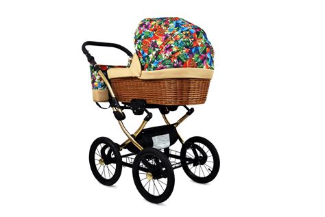 Rôzne modely kočíkov Raf-pol