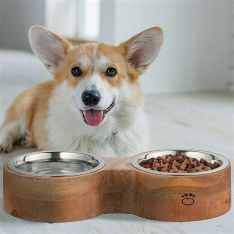 Misky s psím krmivom obohateným o kokosový olej