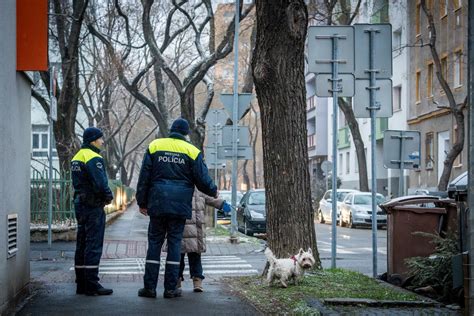 Ilustrácia obranného klbka pri útoku psa