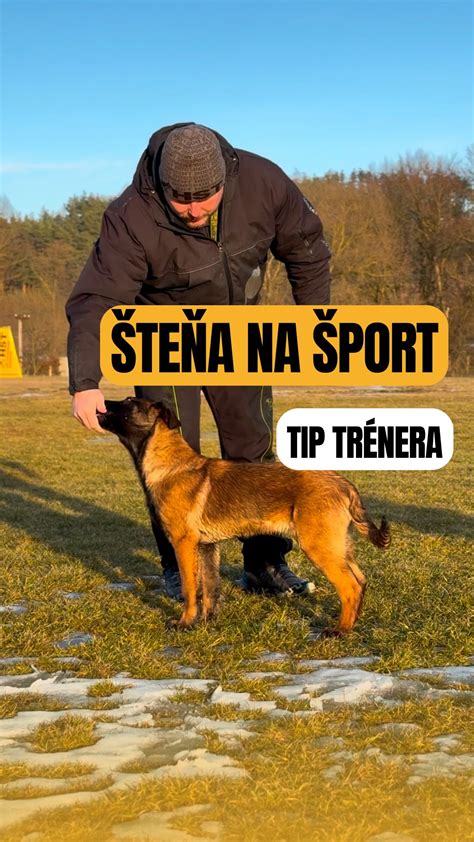 Ilustrácia psa a majiteľa pri spoločnom tréningu