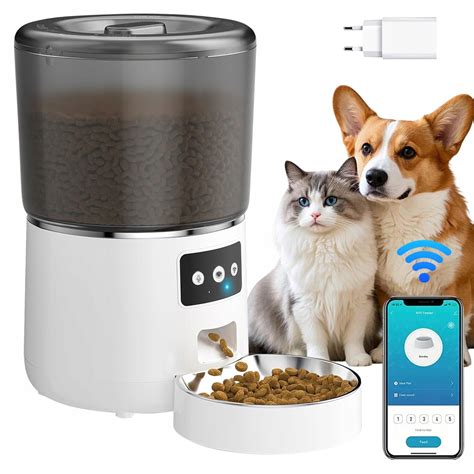 Bulteriér s miskou krmiva