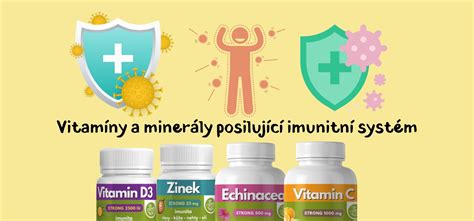 Infografika zobrazujúca dôležité vitamíny a minerály pre imunitný systém