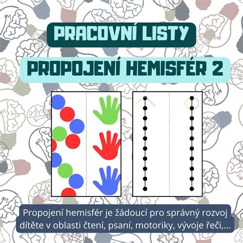 Diagram mozgových hemisfér a ich prepojenia