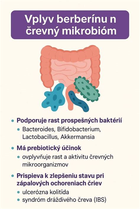 Infografika znázorňujúca bazálny metabolizmus a jeho vplyv na chudnutie