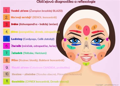 ilustrácia tváre s akné