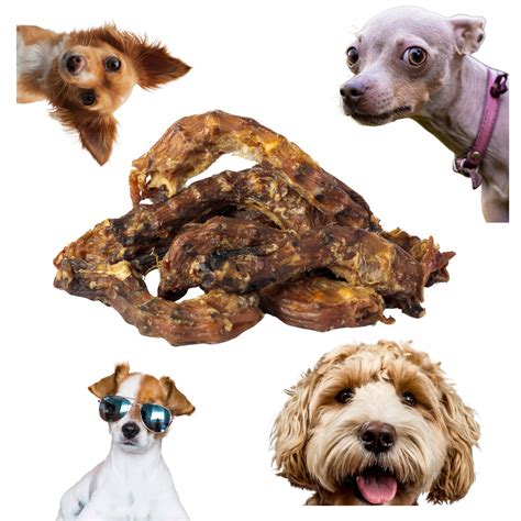 Zdravé maškrty pre psa