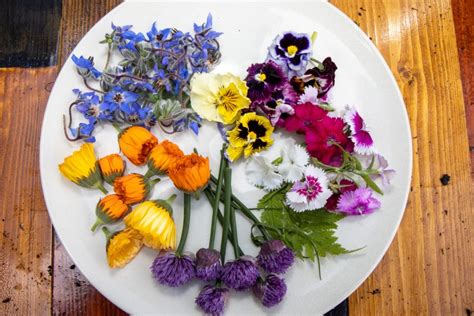 jedlé kvety na torte