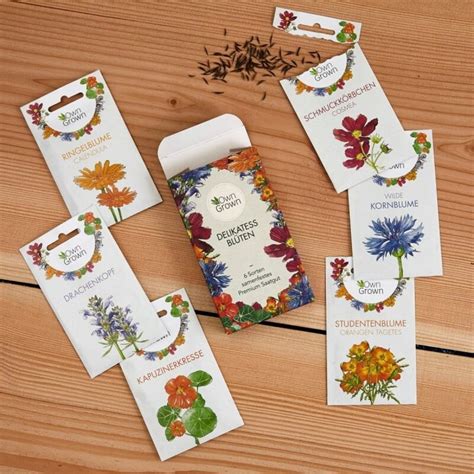 Ilustrácia rôznych druhov jedlých lúčnych kvetov