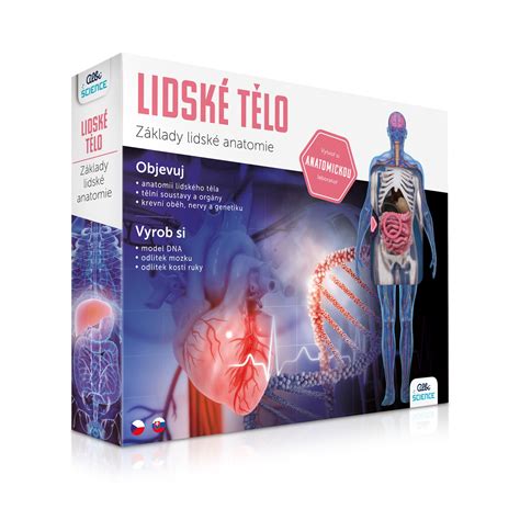 Ľudské telo a jeho metabolizmus