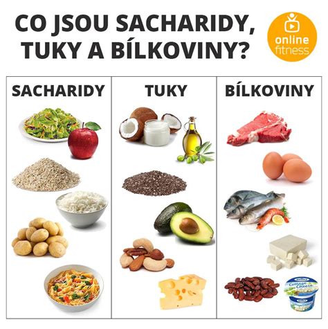 Ilustrácia makroživín: sacharidy, bielkoviny, tuky