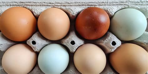 Detail zdobenej vaječnej škrupiny