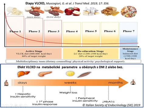 Graf znázorňujúci premenu metabolizmu pri ketogénnej diéte