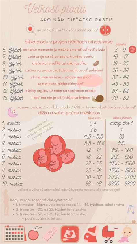 infografika sledovania pohybov plodu