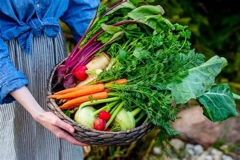 Ilustrácia rôznych druhov zeleniny a ovocia vhodných pri vredovej chorobe
