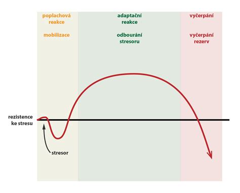 Diagram znázorňujúci tri fázy uhniezdenia blastocysty