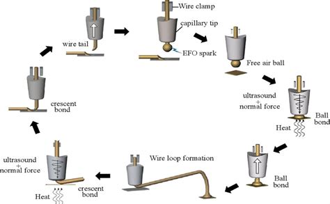Diagram zobrazujúci proces pôrodu a bonding