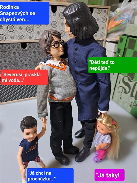 Harry Potter a jeho rodina