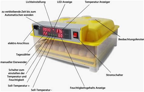 Ilustrácia procesu zmrazovania vajíčok