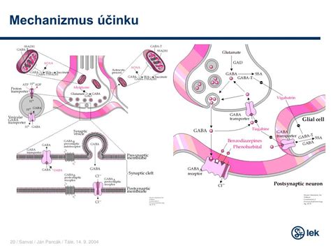 Diagram znázorňujúci mechanizmus účinku hormonálneho vnútromaternicového telieska